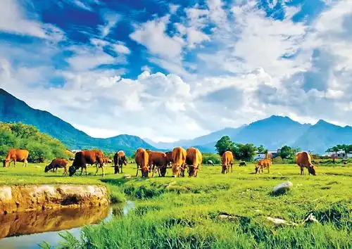 罗坑大草原.阳艮生摄