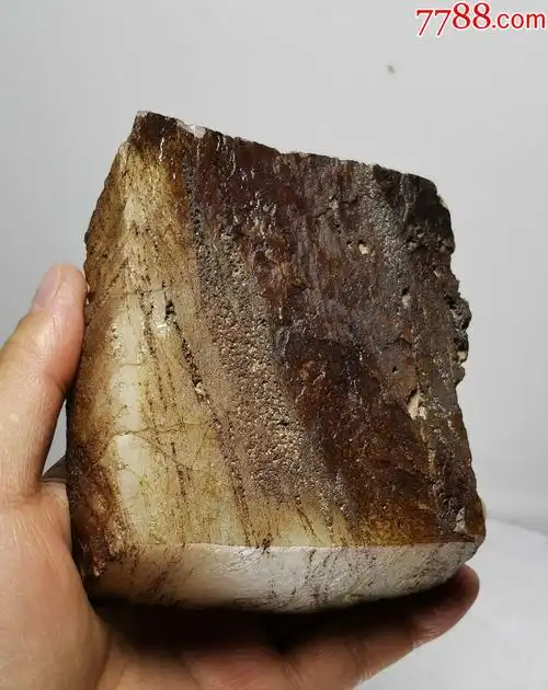 4508精品新疆黑皮戈壁玉原石摆件671克