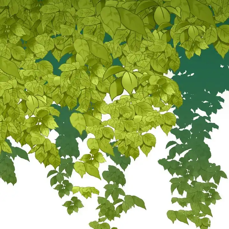 爬山虎绿