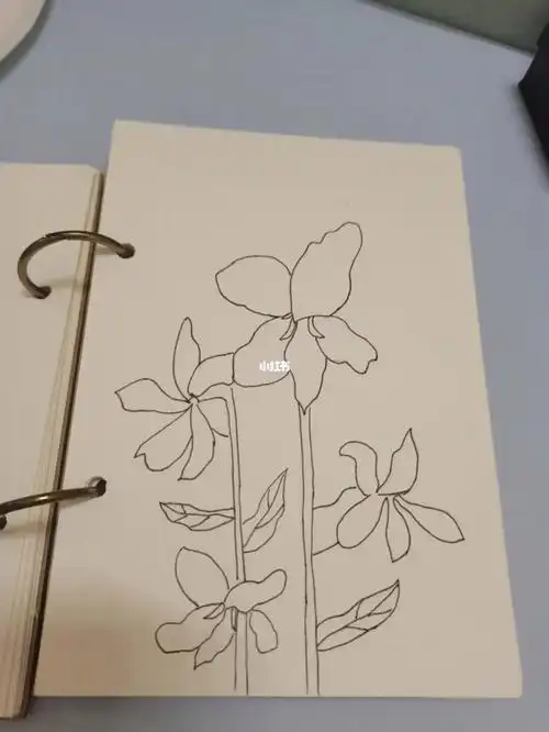 简笔画紫罗兰简笔画