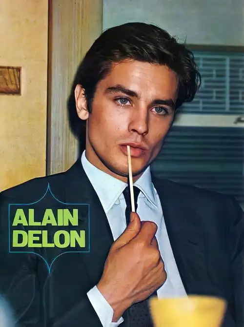 进来看阿兰德龙