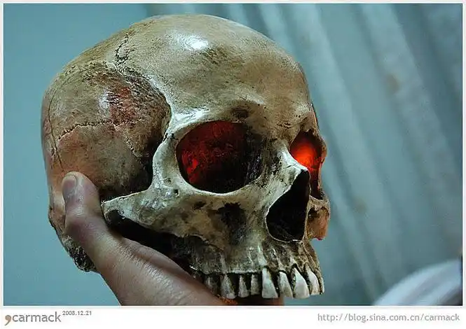 后面是台灯,头骨有不错的透光性,照片拍出来反而有点儿夸张