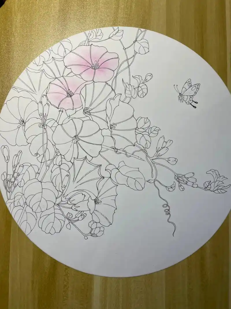 小一工笔 临摹小一老师的牵牛花,就这样吧,不会用水彩,上色 - 抖音