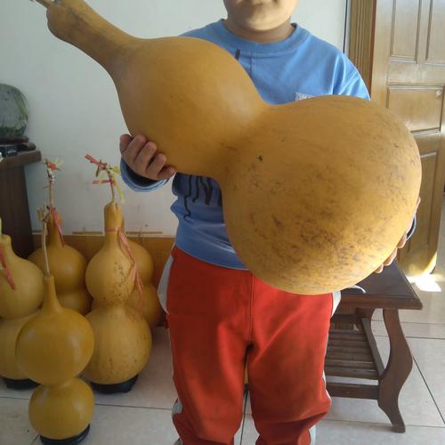 2022大葫芦特大摆件巨型挂件天然客厅亚腰八宝精品文玩带底座龙头