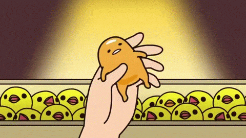 下班吃什么去蛋黄哥美好食光之旅looklook