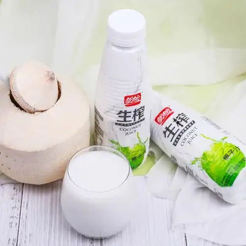 盼盼生榨椰子汁pet500ml1瓶植物蛋白饮料果味