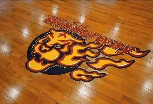 定心丸!广东宏远终于回应队标变更一事,将充分尊重历史传承!