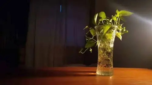 第三讲 海屿谈拍摄用光之90度侧光拍摄