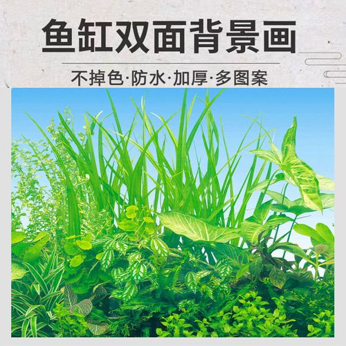 鱼缸背景双面壁画景物造景高清贴纸水族箱鱼缸