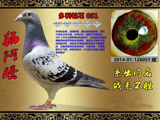 绿治浅斑杨啊腾皇后配詹森冬日男孩