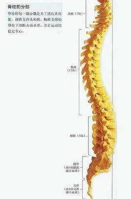 产后尾椎骨疼,怎么办?