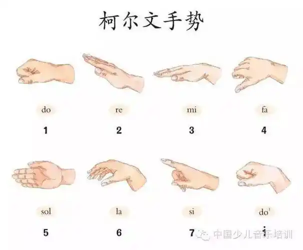 佛山童声合唱团 c3团暑期集训·集训总结