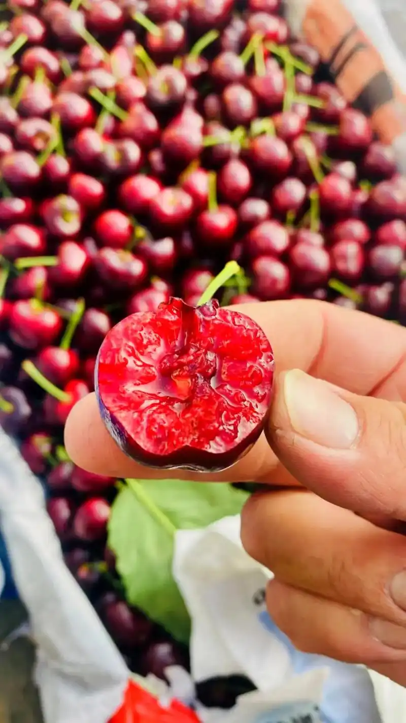 内蒙布鲁克斯品种的4勾车厘子,口感脆甜多汁,每一口都是水果的 - 抖音
