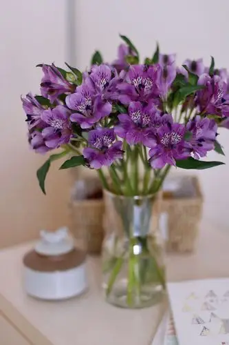 今天的账单,薅羊毛过后疯狂消费夜宵