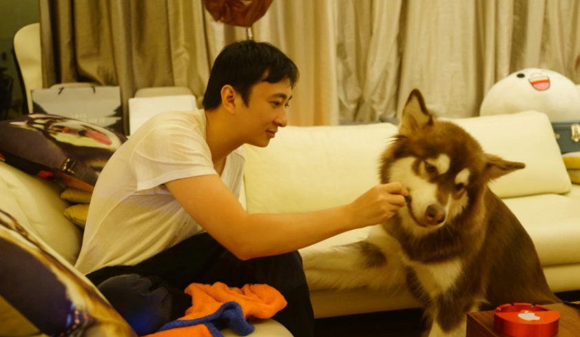 网友变身柠檬精,求王可可心里阴影|王可可|王思聪|猫咪_新浪新闻