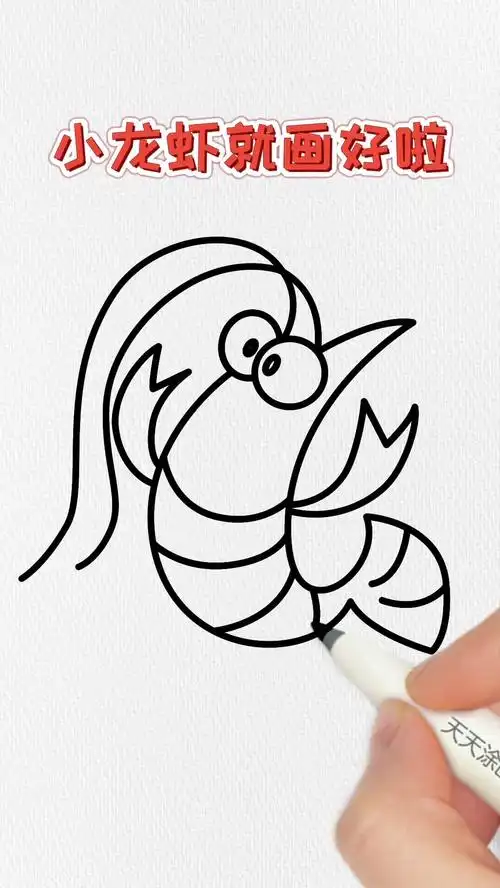 小龙虾 - 简笔画