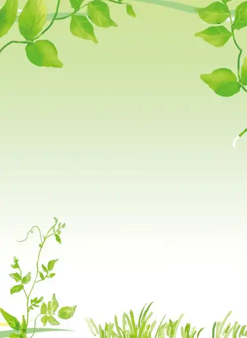 清新绿叶简约展览栏展板背景