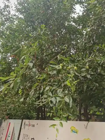 木鱼无言的微博_微博