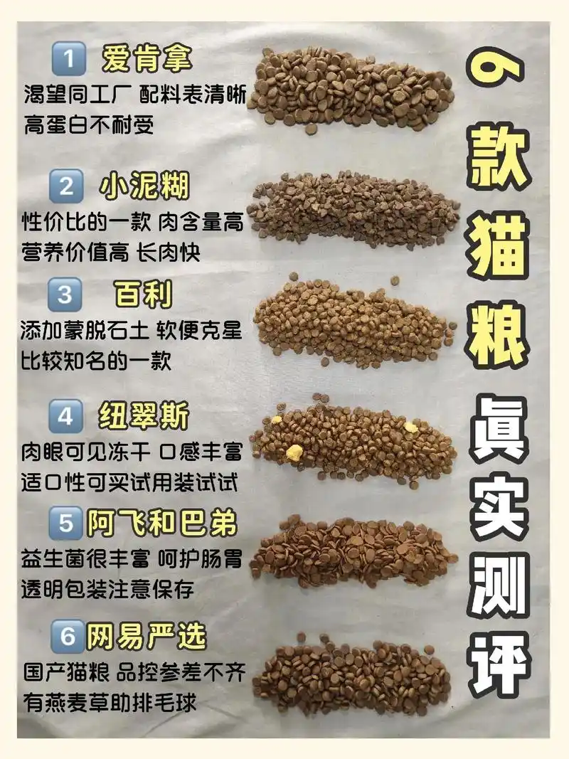 6款猫粮真实测评|一分钟科学换粮.养猫时间有五年了,猫咪一直 - 抖音