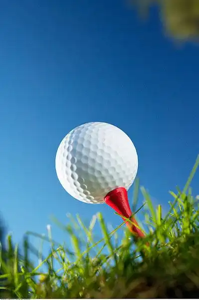 高尔夫球