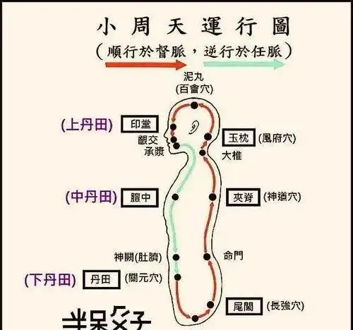 一般就大多数练功人口中所言之小周天,常指任,督二脉之循环.