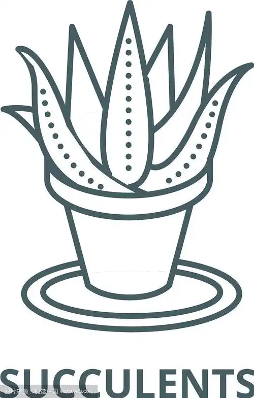多肉芦荟花盆线形图标