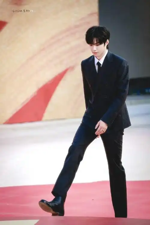 腿好长人好帅    #刘耀文红毯生图