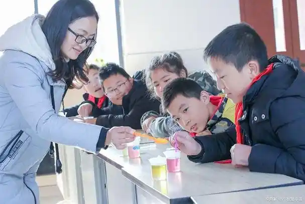 小学生适合参加哪些课外活动