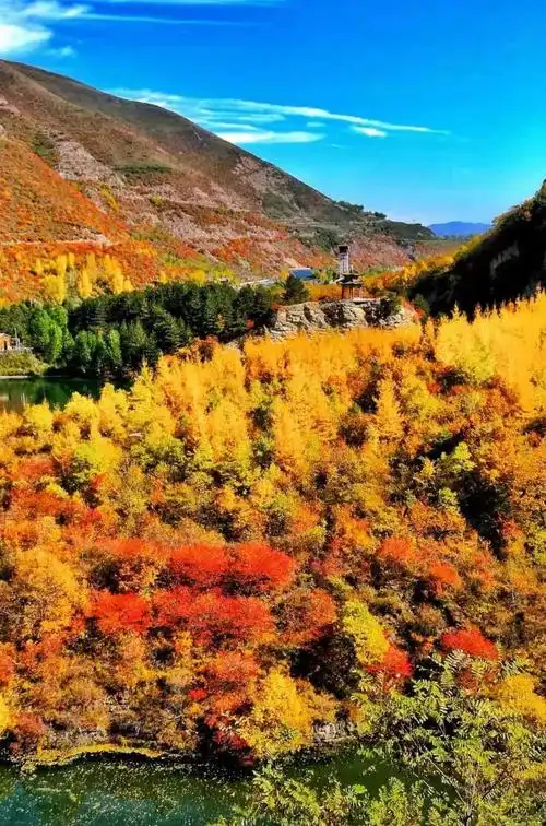 秋景里走一走~想和你在六盘山国家森林公园的秋意最浓的日子里绿黄红