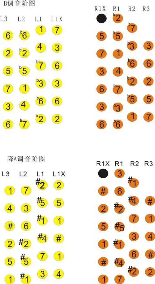 供应48键六角手风琴 意大利进口簧片巴扬琴 天津松林乐器厂
