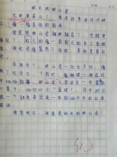 子长市秀延小学三年级十班小组日记系列——《秋天的爬山虎》 - 美篇