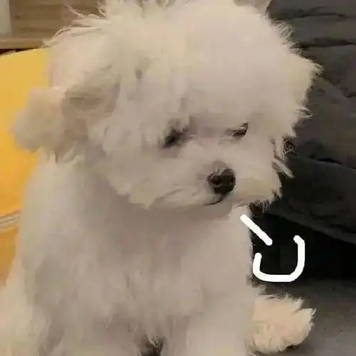 我存过那些在沙雕可爱厌世反复横条跳头像