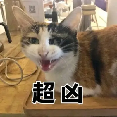 猫咪凶