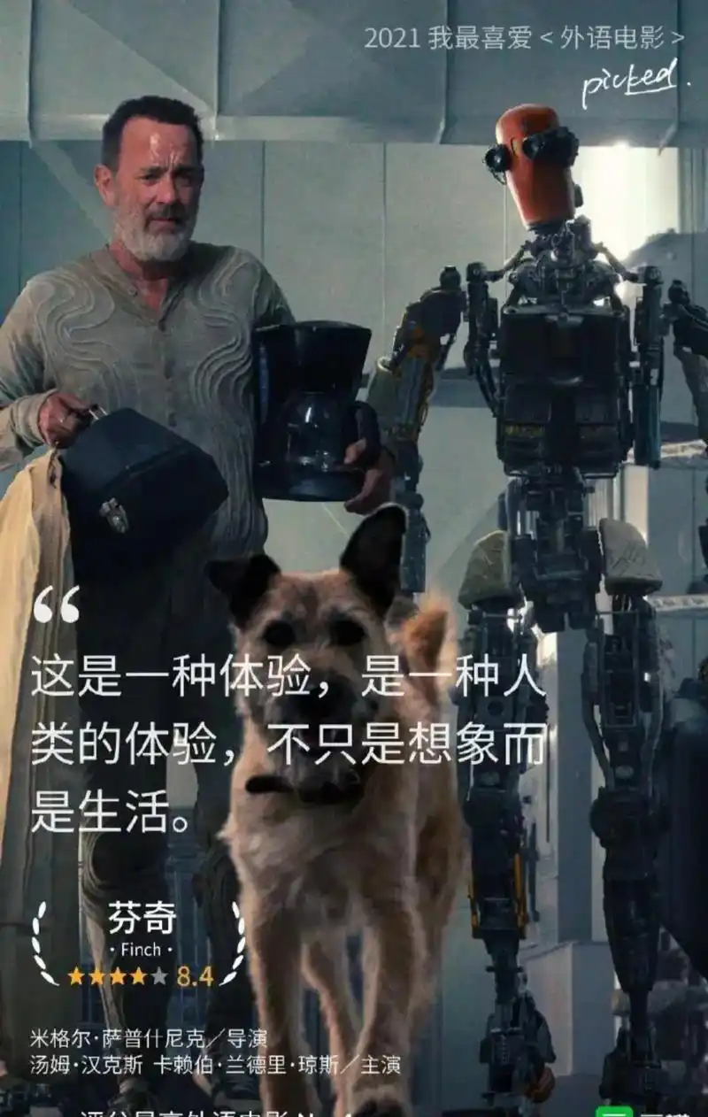 电影推荐 2021豆瓣高评分 外语片2 - 抖音