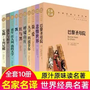 世界经典文学名著全套10册名家名译简爱书籍正版外国 巴黎圣母院