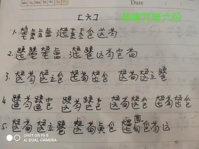 古琴《普庵咒》学习视频三(6.7.8)