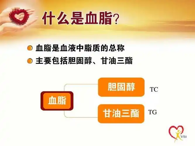 关于血脂的患教ppt