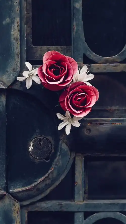 门,玫瑰,生锈 iphone 壁纸