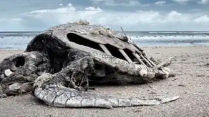 其中90%的海洋生物和70%的陆地脊椎动物灭绝