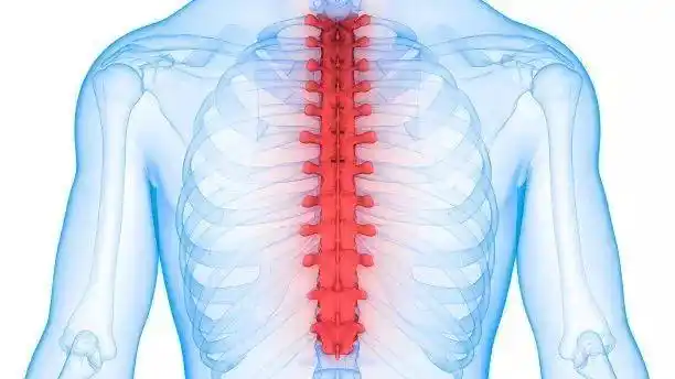 问题都出在了胸椎上!|腰椎|关节|肩颈|肌肉|屈髋_网易订阅