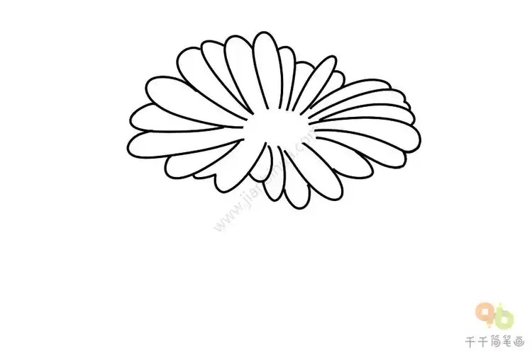漂亮的金盏菊简笔画