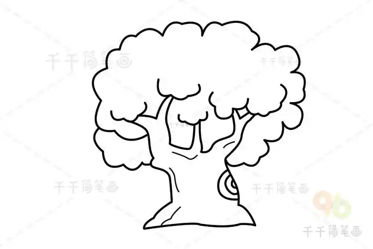 榕树简笔画如何画_大树简笔画