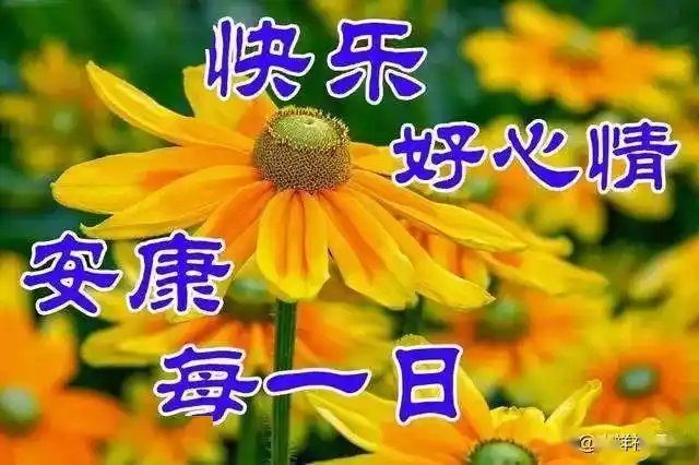 清晨发朋友圈祝福问候语录配图2020最美的鲜花祝福图片