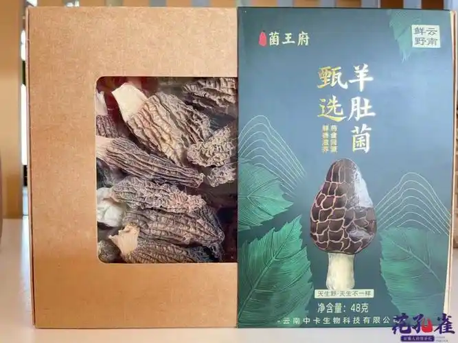 臻选羊肚菌云南人的伴手礼