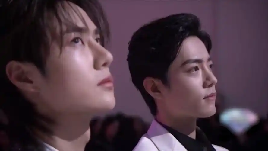 肖战王一博久违同框张碧晨化身陈情女孩唱响无羁超凄凉