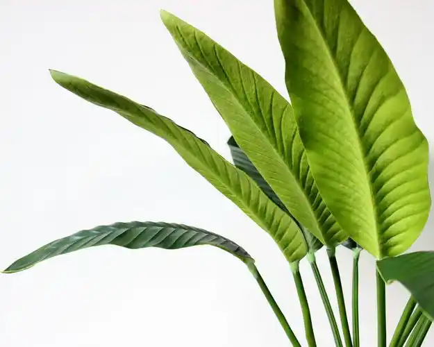 仿真植物 叶子 艺术插花落地艺 高档pu天堂鸟单片叶 仿真花 树叶