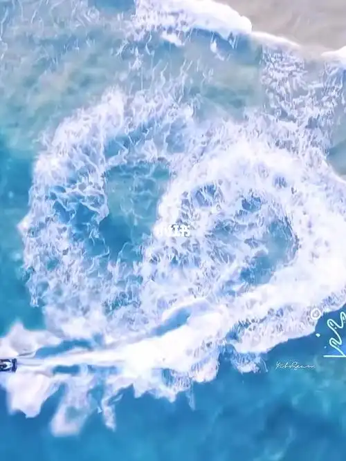 肖战王一博  #博君一肖