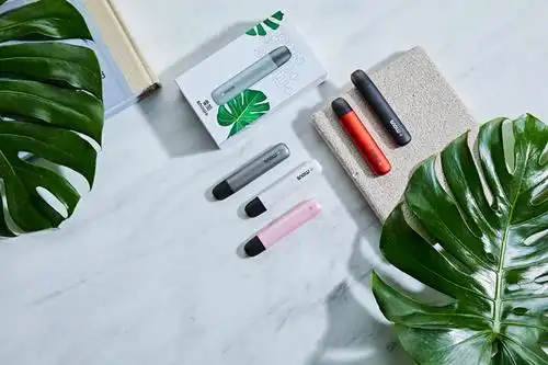 雪加snow 电子烟评测