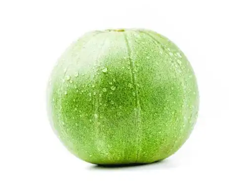 白底上的绿宝甜瓜 绿宝石甜瓜