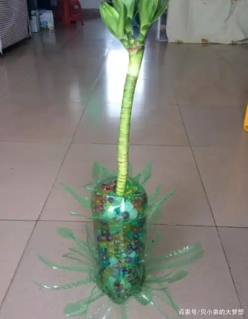 用大号可乐瓶改造而成的艺术环保花瓶diy作品